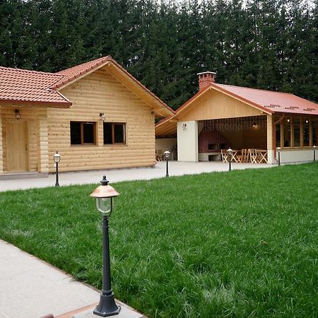 Pensiunea Floarea De Colt Nuksora Kültér fotó