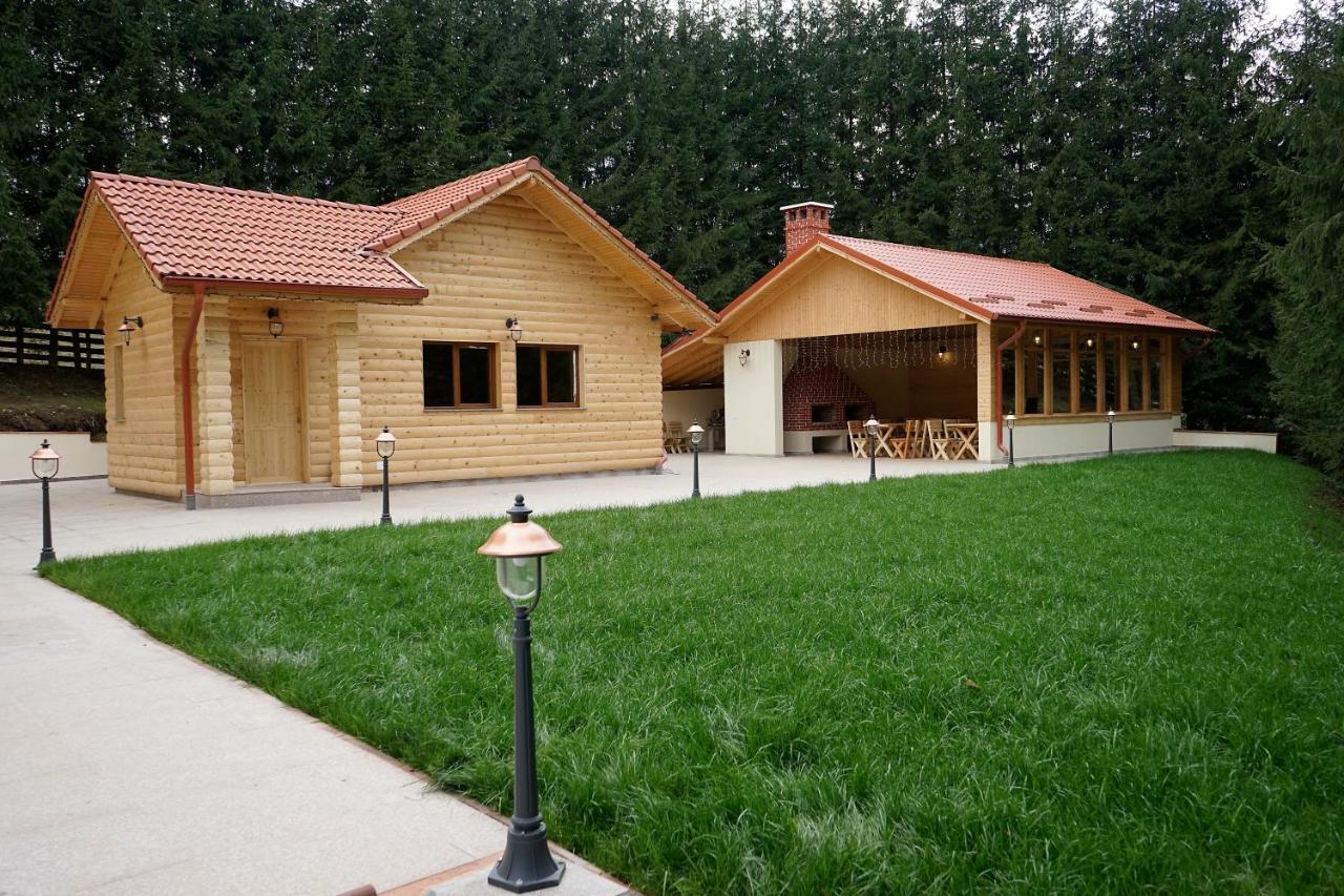 Pensiunea Floarea De Colt Nuksora Kültér fotó